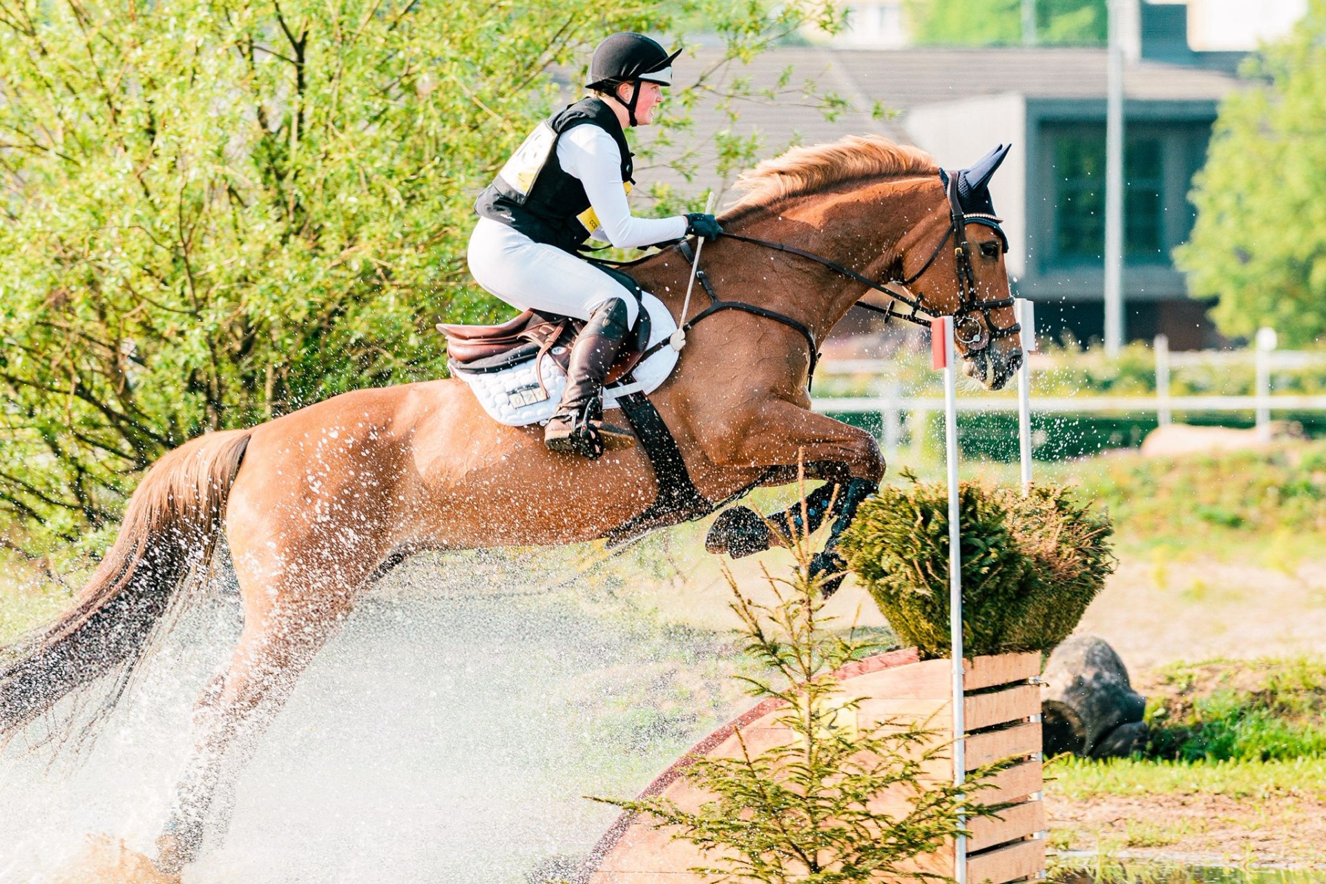 Viivi ja Lily. Kuva: Pompo mompo horse photos
