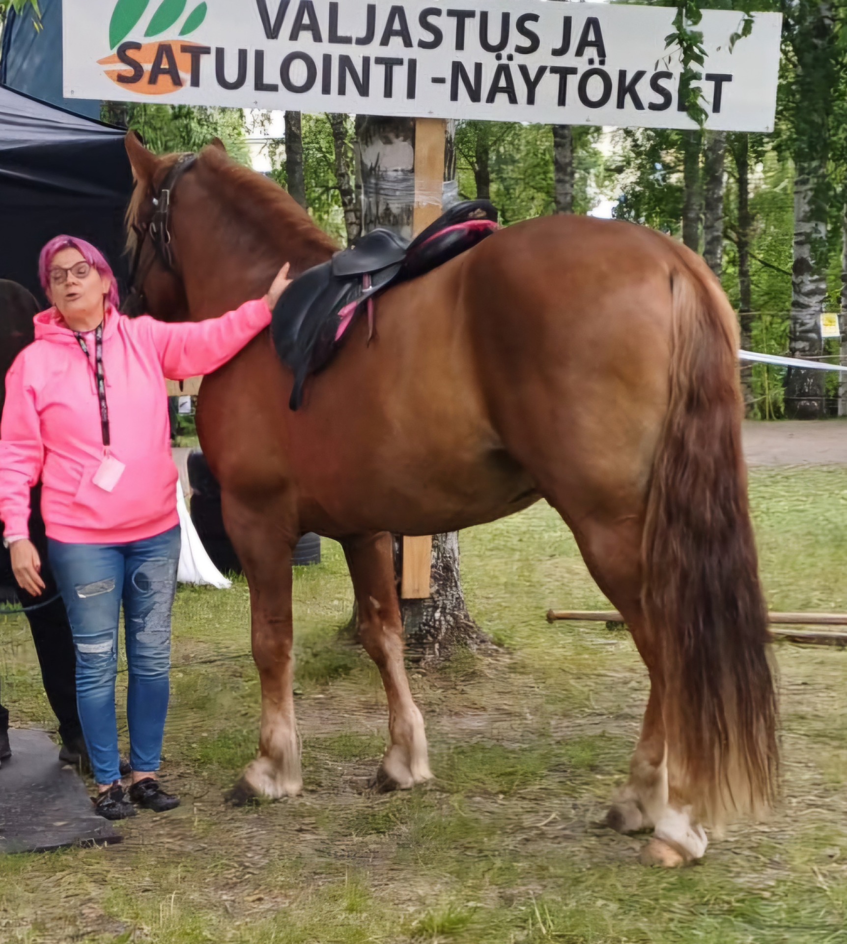Kuva: Satu Ritarin kuva-arkisto