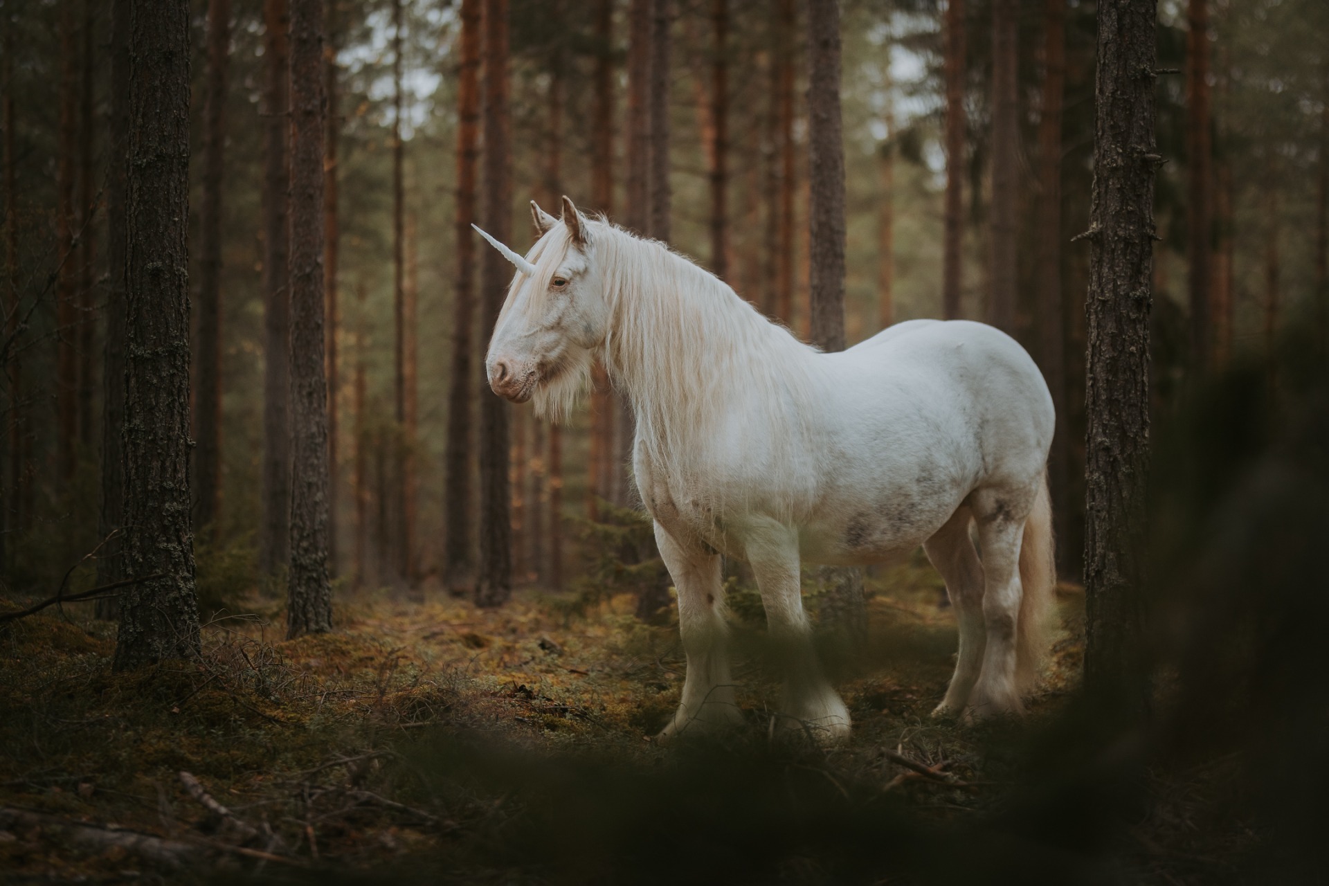 Kuva: Mirella Ruotsalainen/Hertjekker
