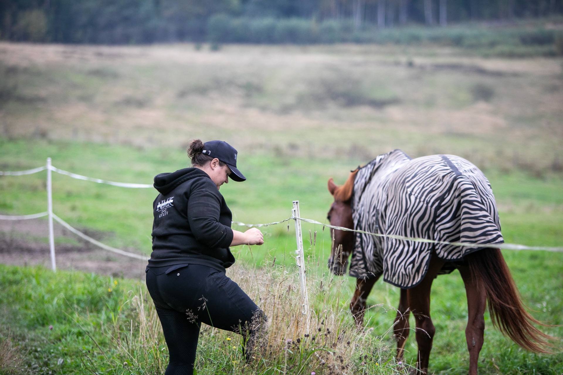 Tallin henkilökunta sai pääasiassa hyviä arvosanoja kyselyssä. Kuvituskuva: Milla Cornea