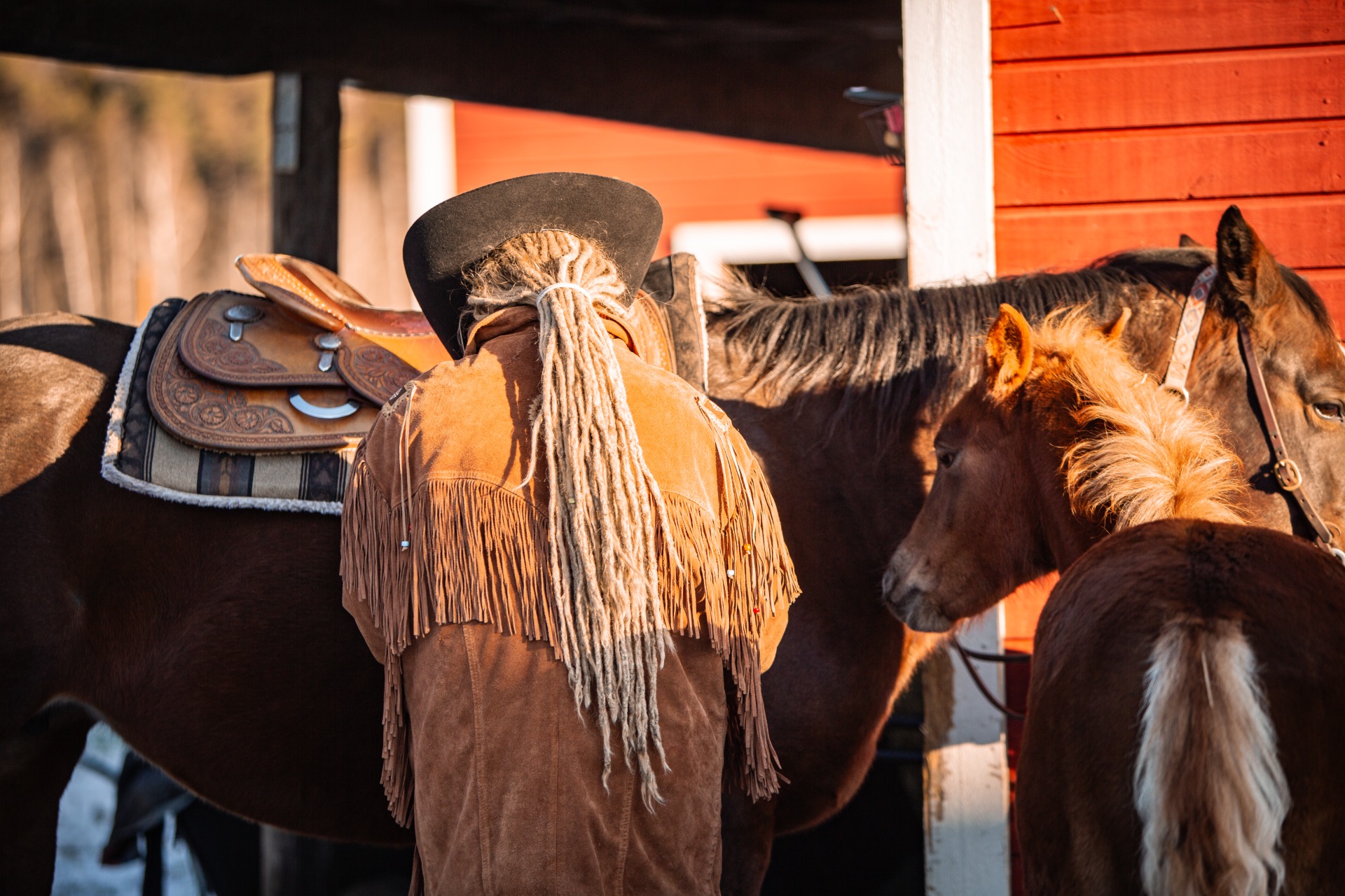 Tutkijoiden mukaan tuloksilla on silti merkitystä etenkin hevosten hyvinvoinnin näkökulmasta. Kuvituskuva: Nette Hursti
