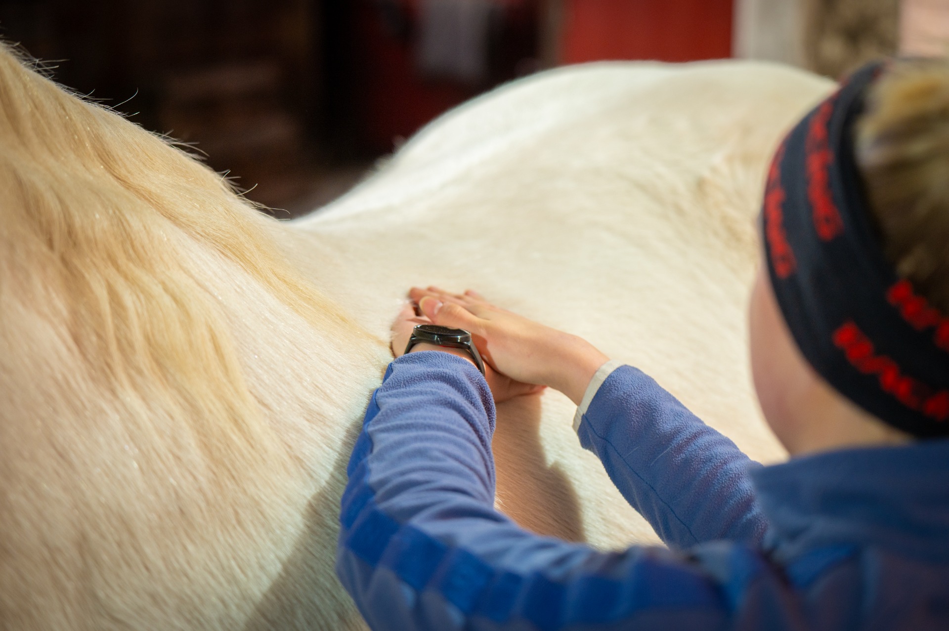 Hieronta on osa hevosen kokonaisvaltaisesta hyvinvoinnista huolehtimista.