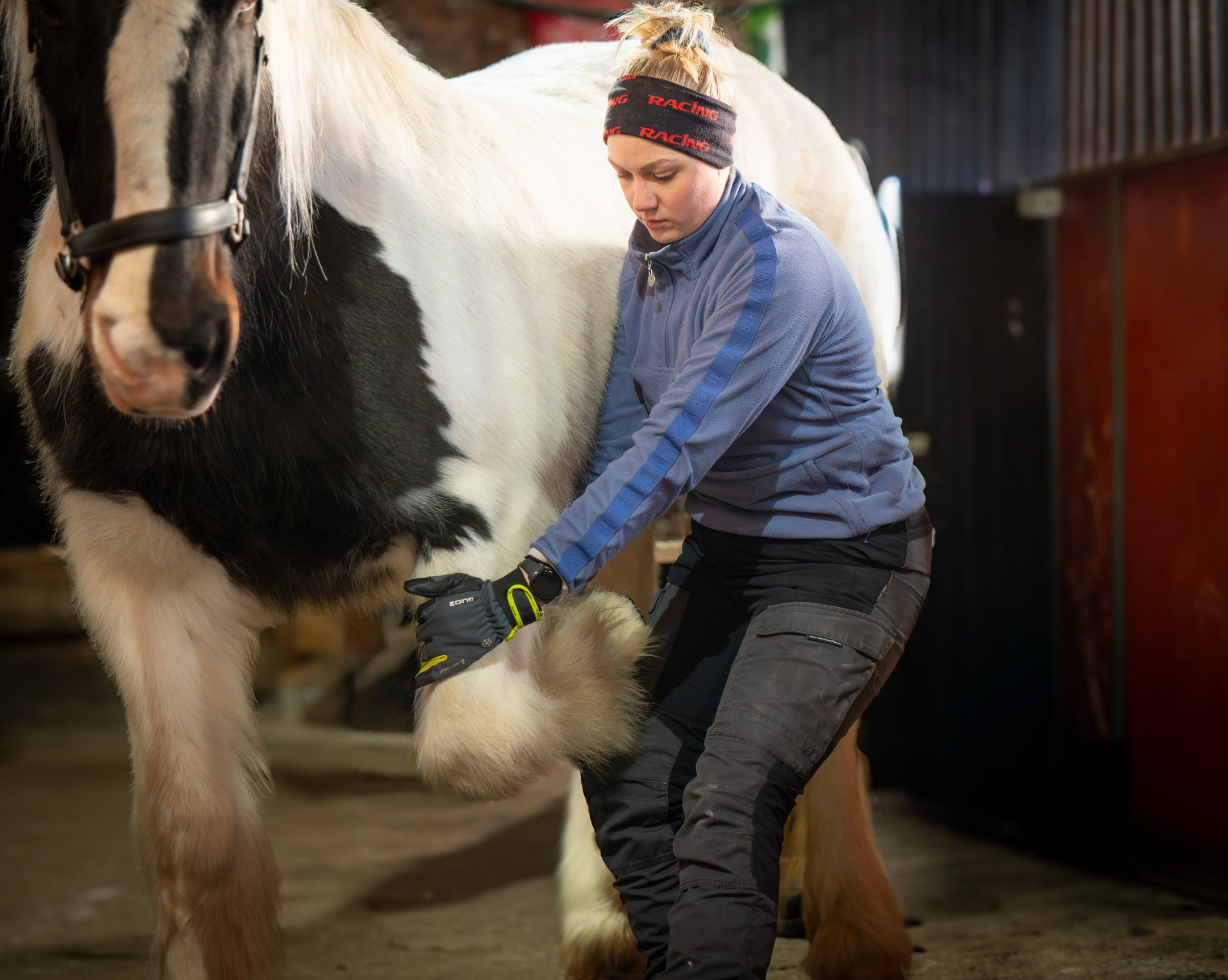 Hevonen tarvitsee lihashuoltoa siinä missä ihminenkin.