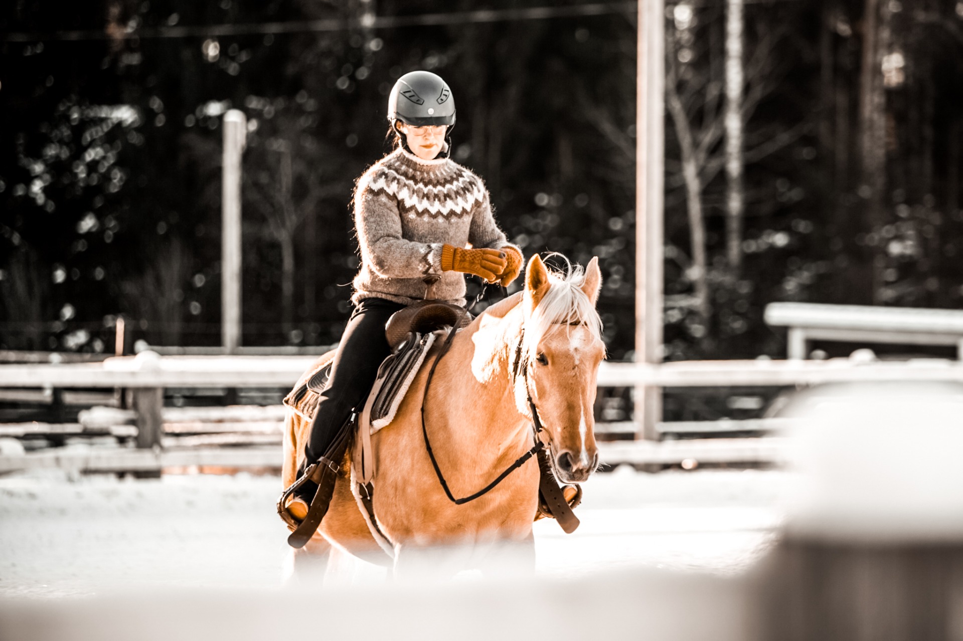 Ravinnontarve koostuu vedestä, energiasta, valkuaisesta, kivennäisaineista ja vitamiineista. Kuvituskuva: Nette Hursti