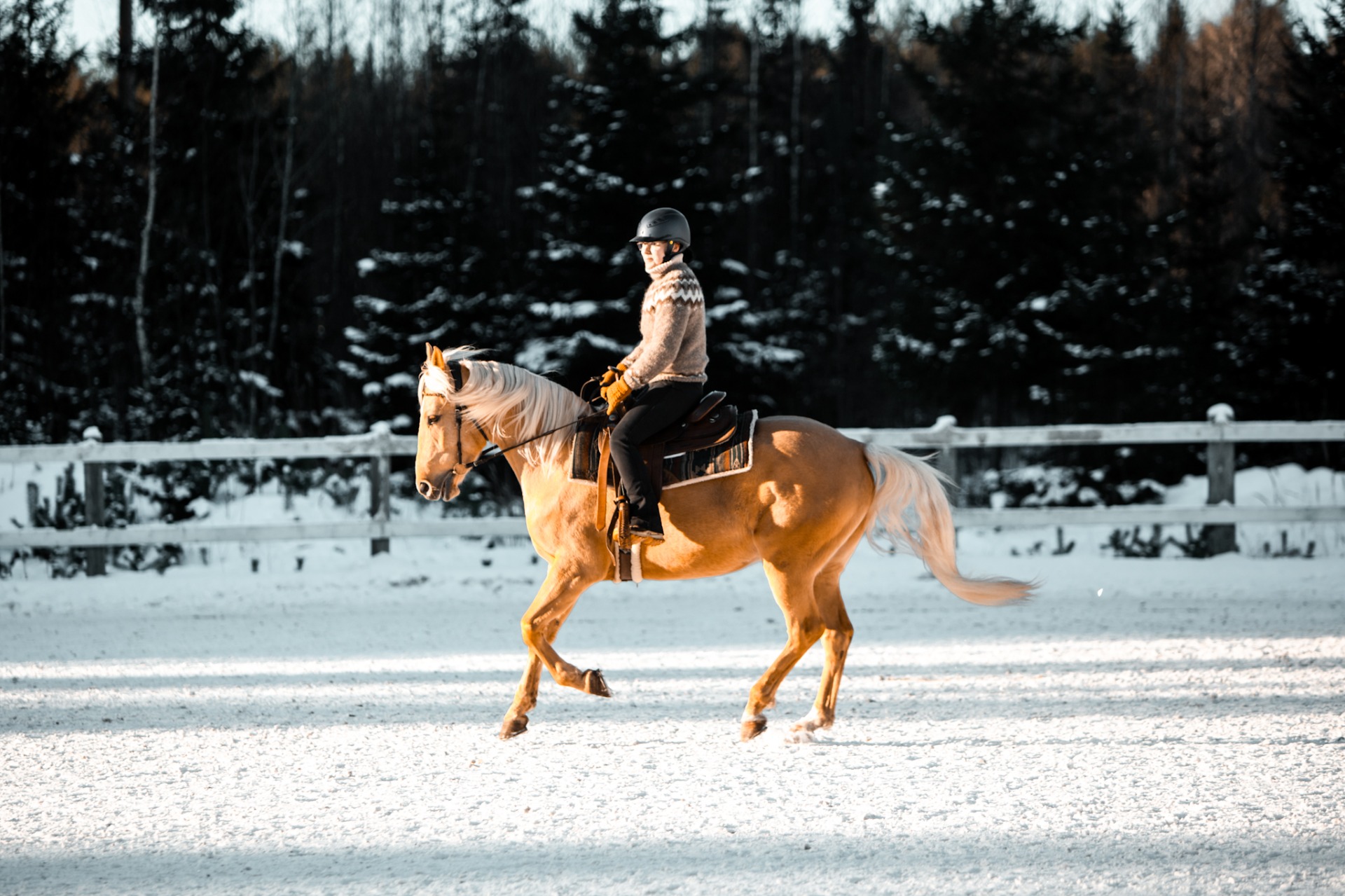 Proteiinia tarvitaan mm. kasvuun ja lihastyöhön. Kuvituskuva: Nette Hursti