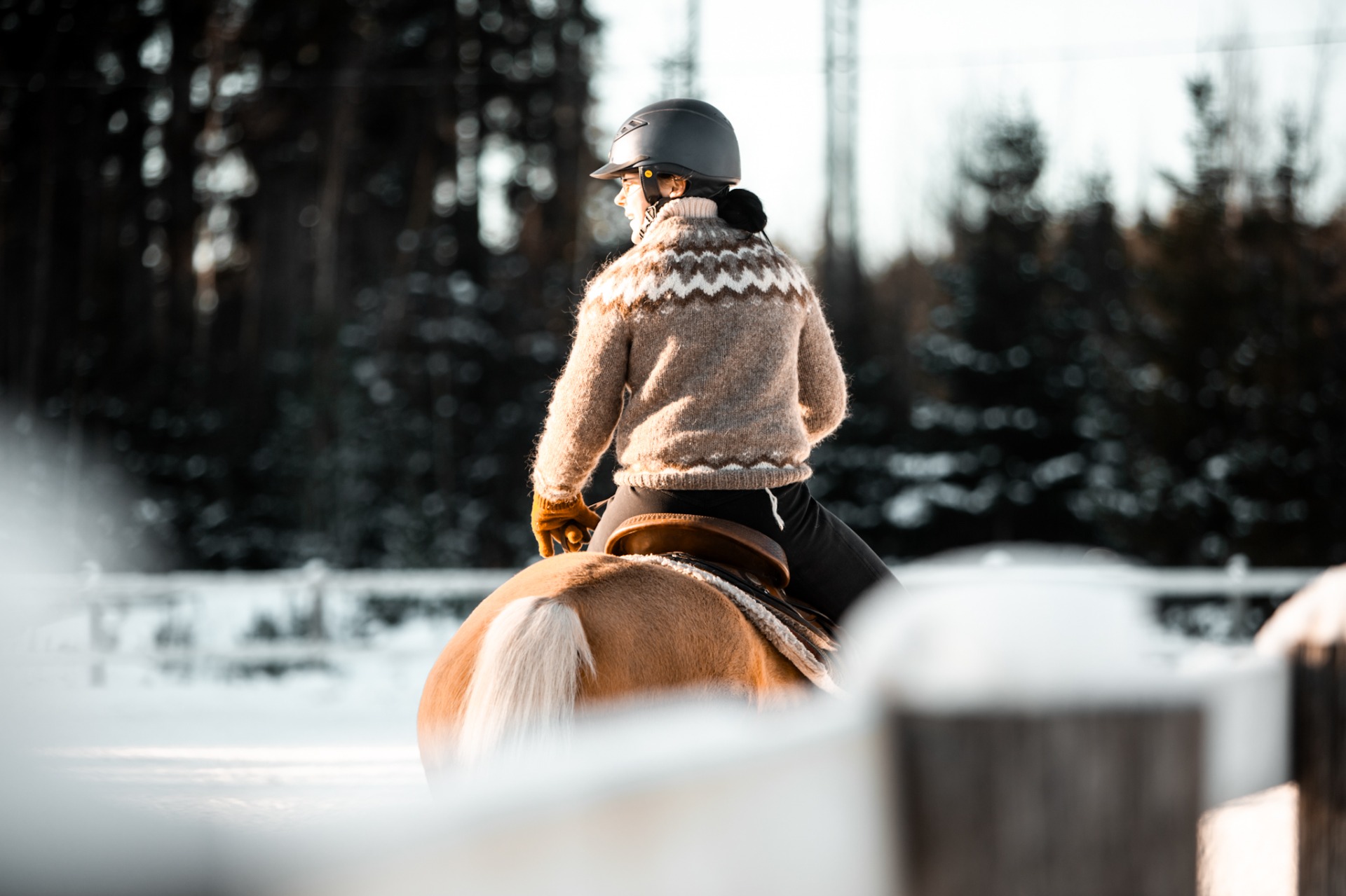 Tärkeimpiä kivennäisiä määrällisesti ovat kalsium ja fosfori. Kuvituskuva: Nette Hursti