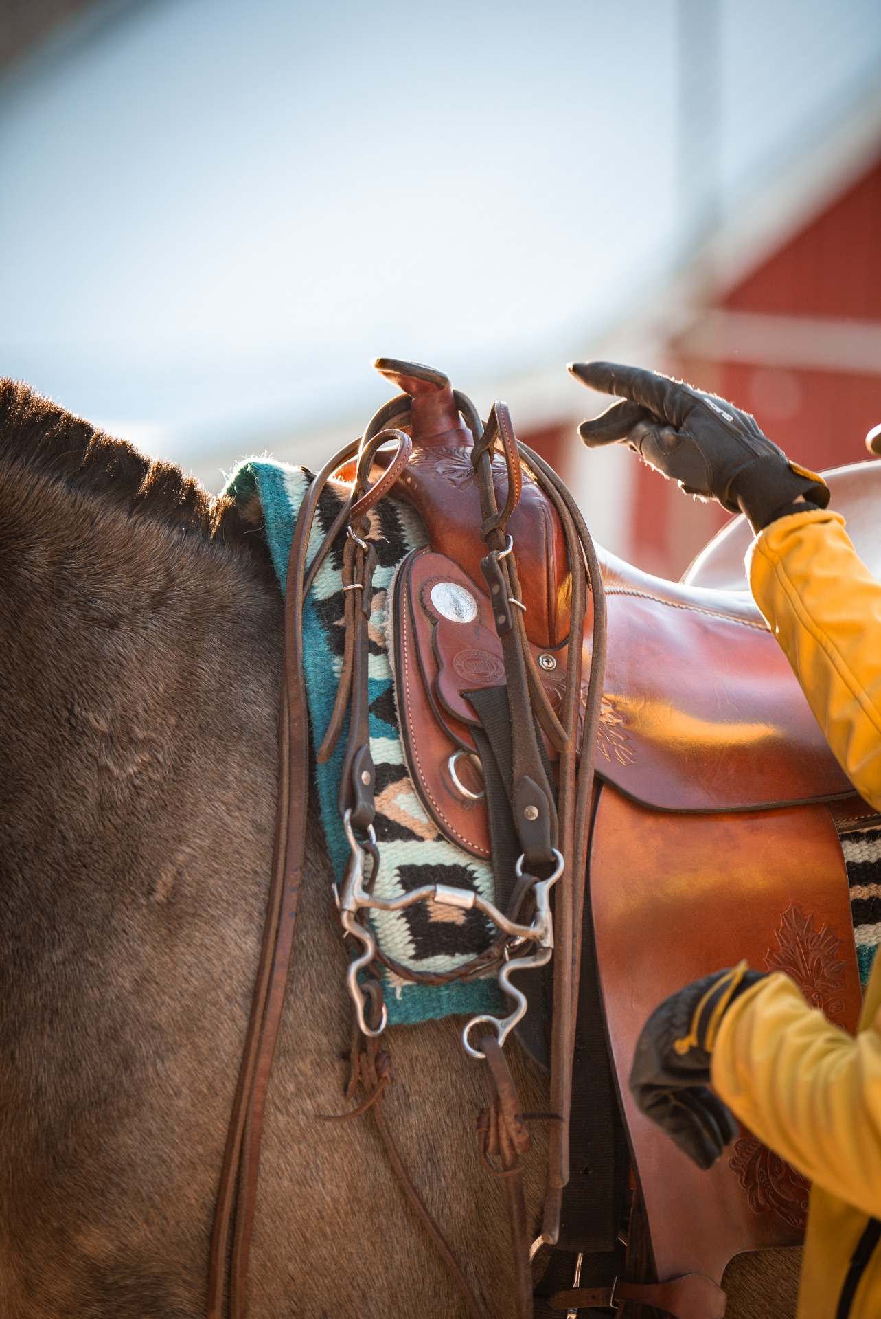 Suitsia on paljon eri mallisia. Kuvituskuva: Nette Hursti