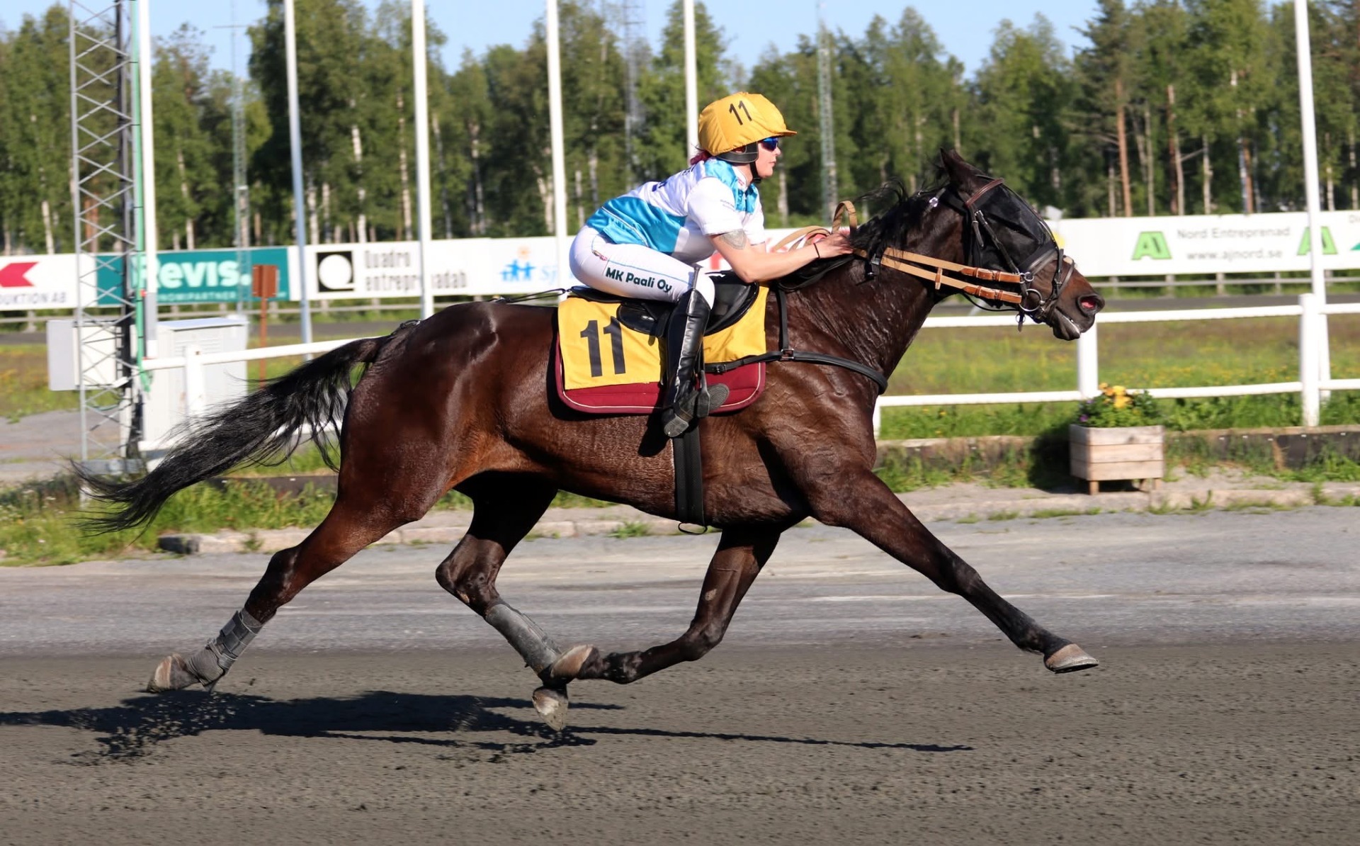 Montéssa ohjastajalta vaaditaan hyvää lihaskuntoa, tasapainoa ja havainnointikykyä. Kuva: Leppäjärven kuva-arkisto
