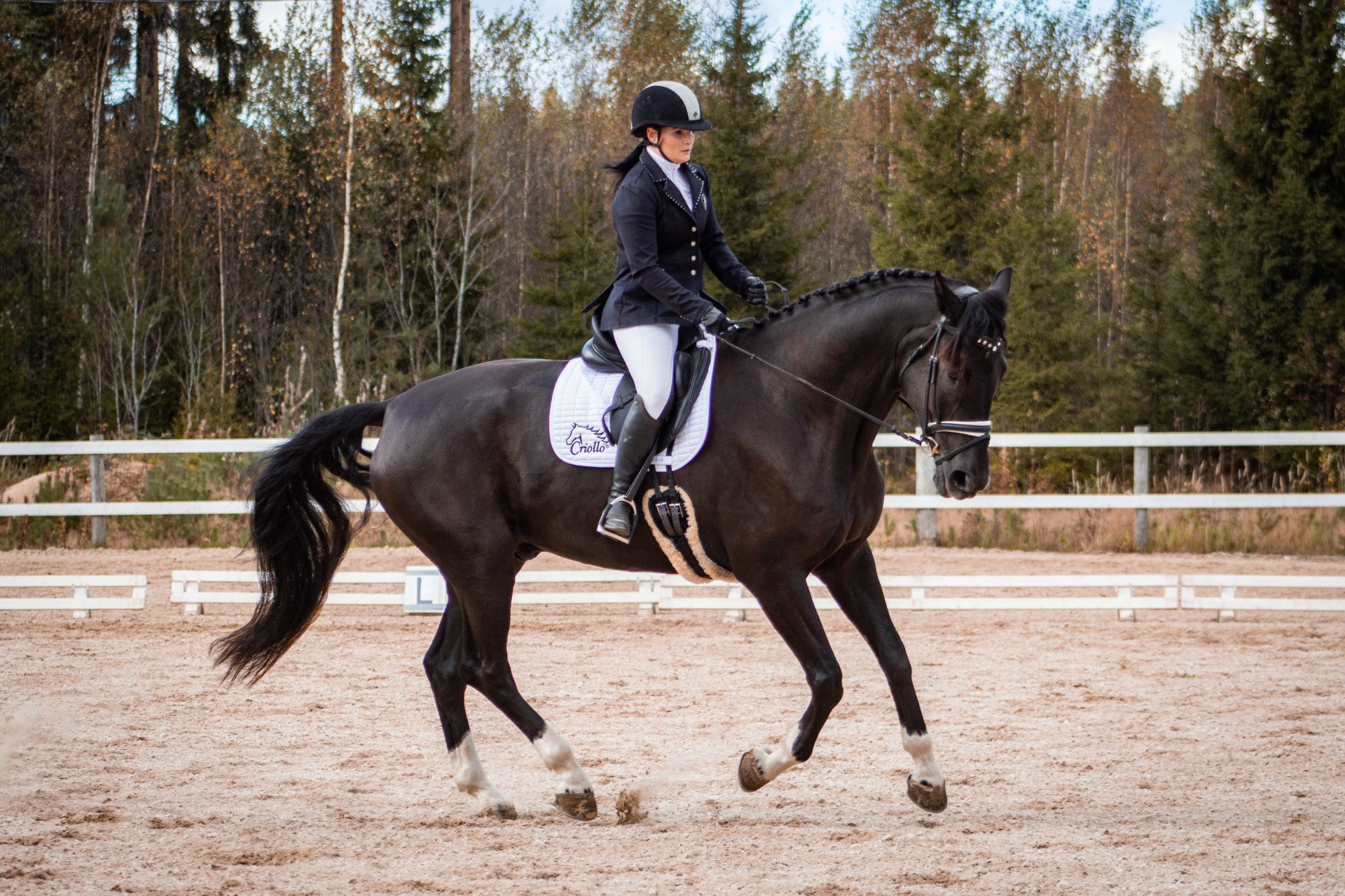 Mitä huomaamattomampi apu, sitä taitavampi ratsastaja. Kuvituskuva: Nette Hursti