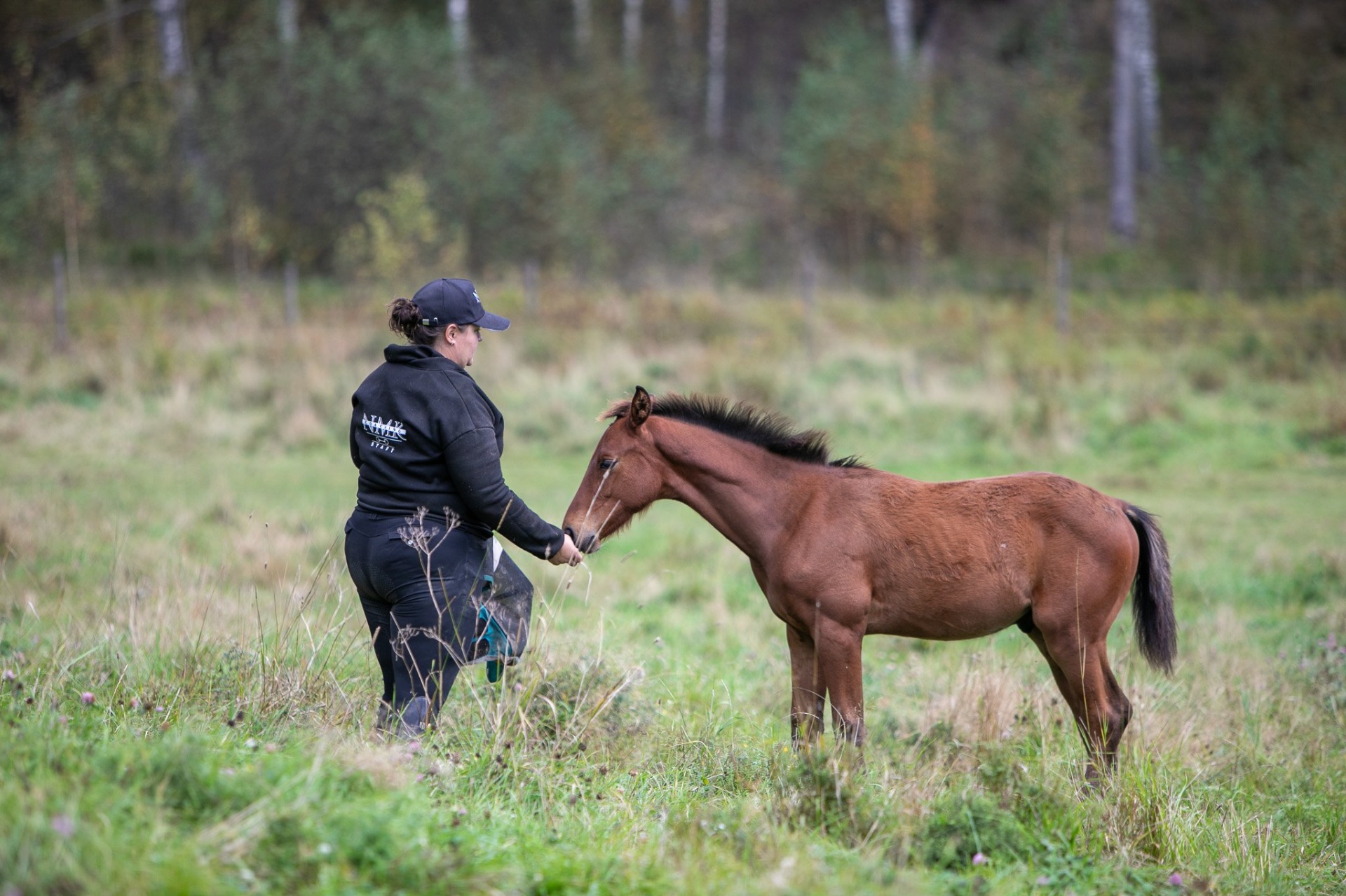 Hevosten tuomasta henkisestä taakasta pitäisi pystyä puhumaan avoimemmin. Kuvituskuva: Milla Cornea