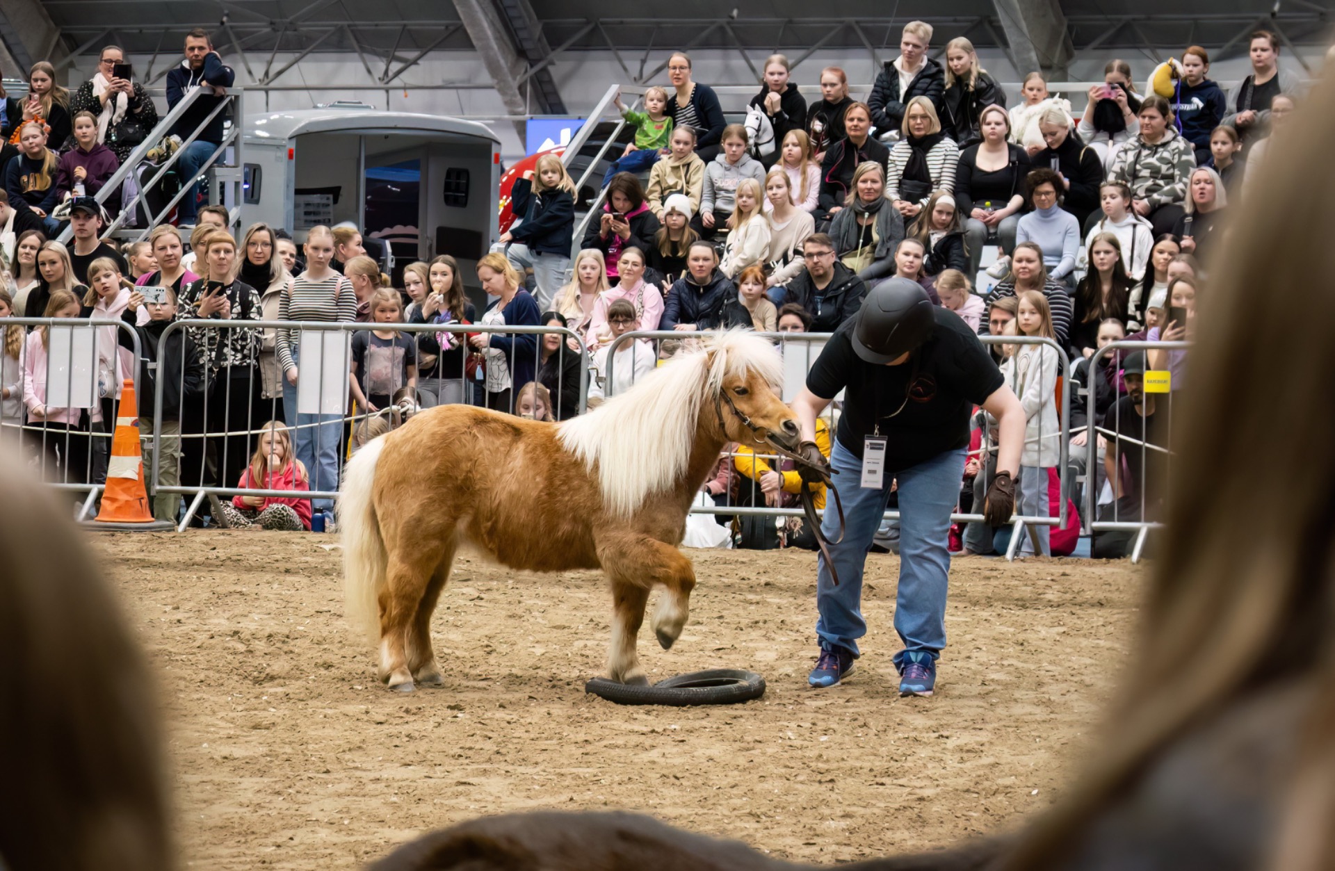 Hevoset-messut 2025. Kuvituskuva: Mia Surakka