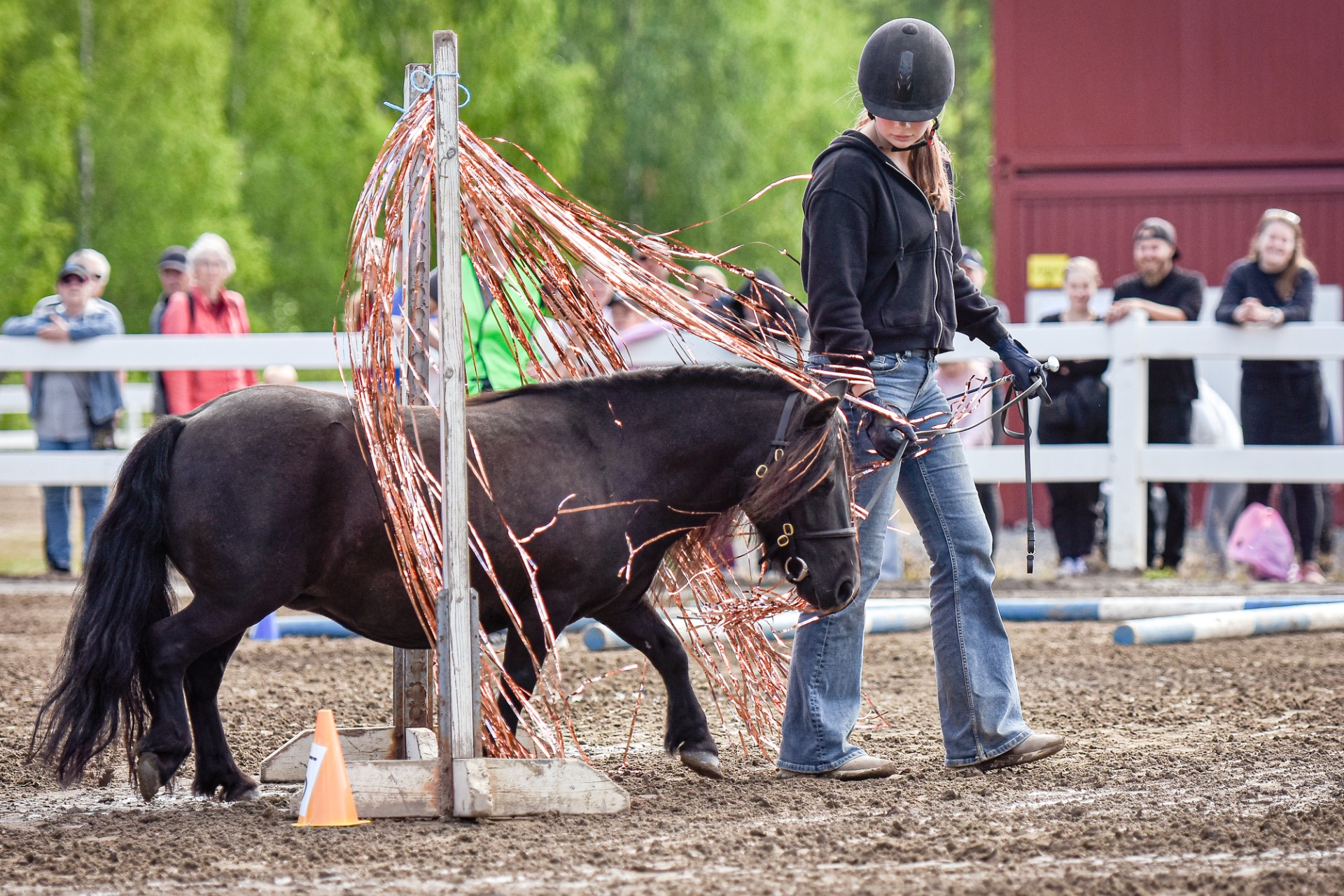 Poniagility on monipuolista ja hauskaa puuhaa. Kuva: Aino Tervonen