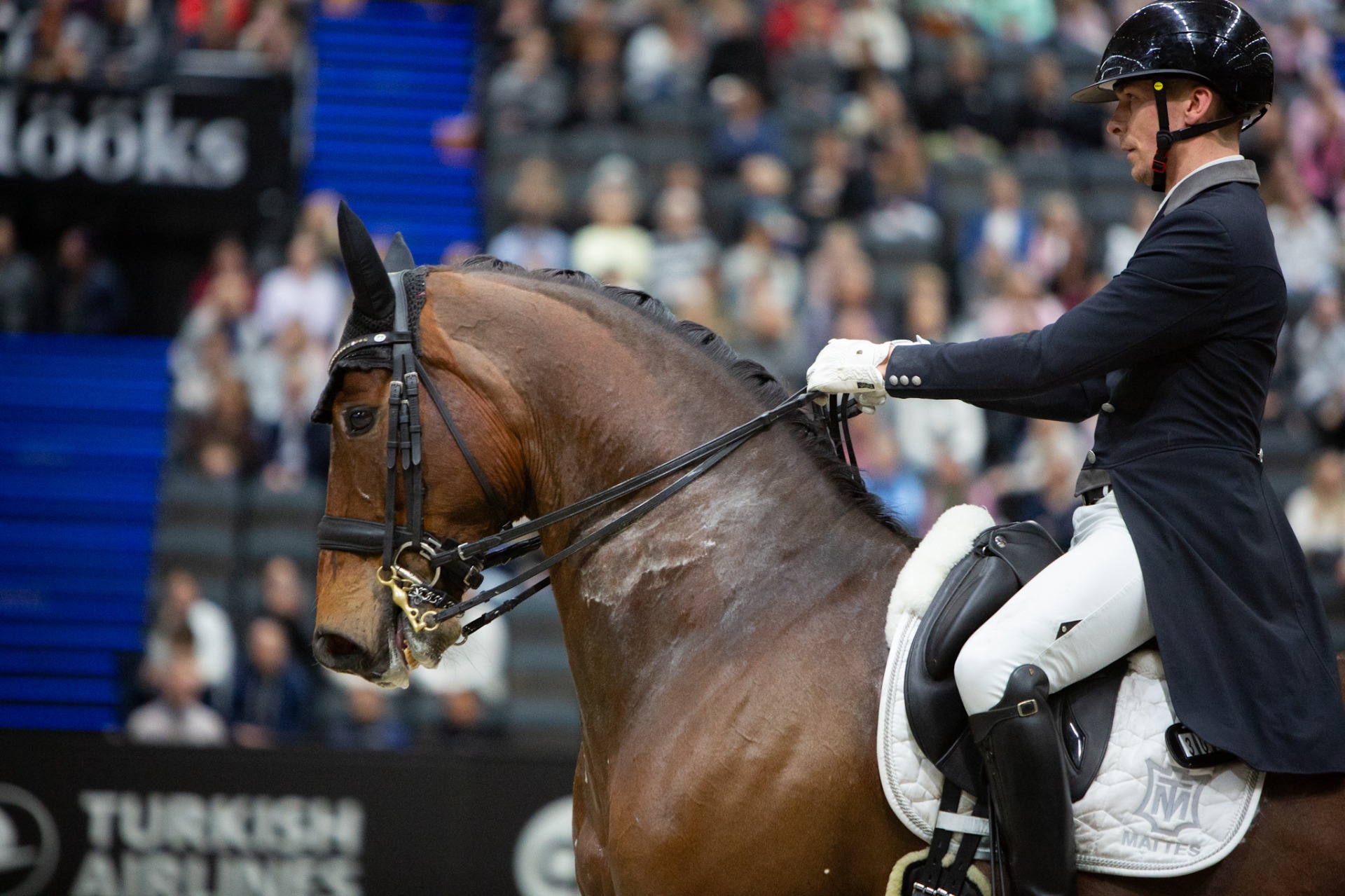 Ville Vaurio ja Dante NL. HIHS 2026. Kuvituskuva: Nette Hursti